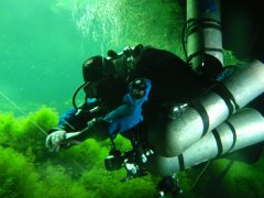 ī������ܶ�Ǳ��ħ�������Ǽ�Ǳ����Ҳ����ӵ��