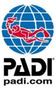 PADIרҵǱˮЭᣩ