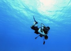 <b>OW�¸Ľ��ĸ�������ѵ�����������Ǳ����ת��</b>