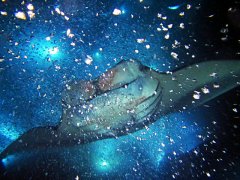 ̵롰ħ㡱ͬεǱ-֪ͬι