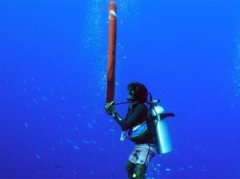 �����Ľ�ѵ��Ǳˮ��Ҫ��ȫ��ʾ��־��