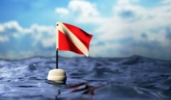 �����Ľ�ѵ������ä��