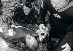 <b>�����Ľ�ѵ��ǱˮԱ����������</b>