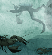 <b>�����Ľ�ѵ�����ڰ��ݣ�</b>