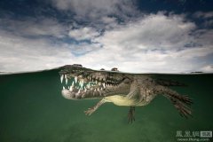 һ��ˮ��ˮ����Ӱ ��Ӱʦչ��Ǳˮ�Ӿ�����