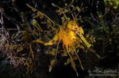 ˮ����Ӱ΢������10��