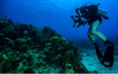 ˮ����Ӱ����ϵ��֮�� �����Ӱ