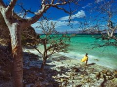 <b>��¡�Ǹ�����ĵط�</b>