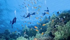 <b>ξ˵һǱˮ 4˱о10</b>