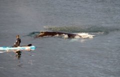 ���������ӳ���ż��19�׳���ͷ��