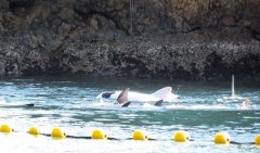 �ձ�������鴬�����ϼ����е��� �ķ��ȿ���