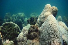 ��������ָ���ɺ���׻�10������ ����ˮ��ů