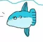 <b>�����������������ܣ���������������һ���Ĵ󺣹ֵ�һ����</b>