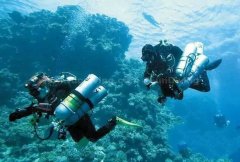 <b>�Ÿ�����ʡ����С����</b>